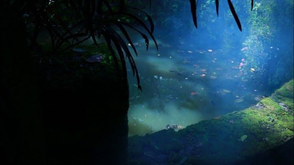 Abrahams Spice Garden-1